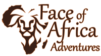 Face of Africa Adventures