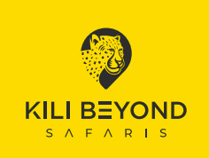 Kilibeyond Safaris